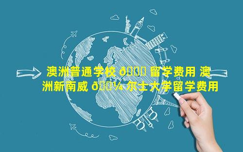 澳洲普通学校 🐞 留学费用 澳洲新南威 🌼 尔士大学留学费用